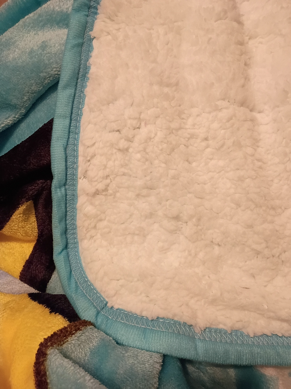 Bluey Blanket - Picture 3 of 3